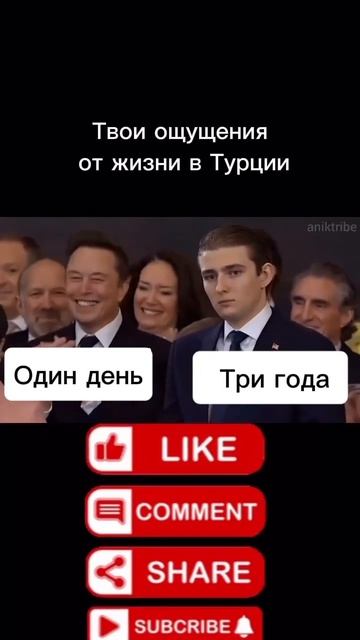 20 марта 2025 г.