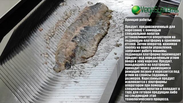 Машина для деликатной нарезки рыбы слайсом Vega HFS 280 I Нарезка рыбы смотреть онлайн