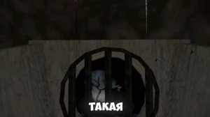 ФИШКИ НОВОЙ ОБНОВЫ! Новая РАБОТА и КАРТА! Car parking multiplayer 4.9.3.2 Кукисс