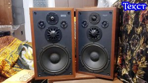 Technics SB-501 текст