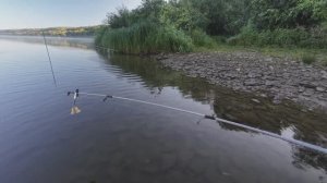 Рыбалка на леща. Пружины, сало и тишина.
