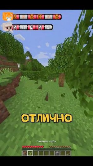 ГОНКА ИМЁН В МАЙНКРАФТЕ [БИСКАС ПЕРЕЗАЛИВ]