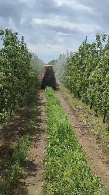 РостАгроИмпэкс