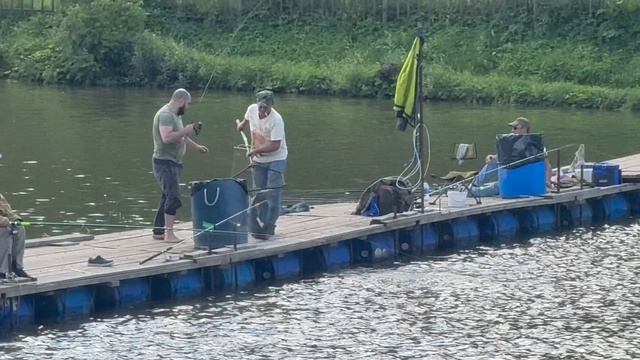 Крупная Осетрина смотреть онлайн