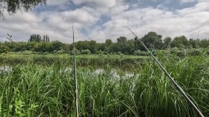 РЫБАЛКА НА ФИДЕР или ФИДЕРНАЯ РЫБАЛКА 😊👍