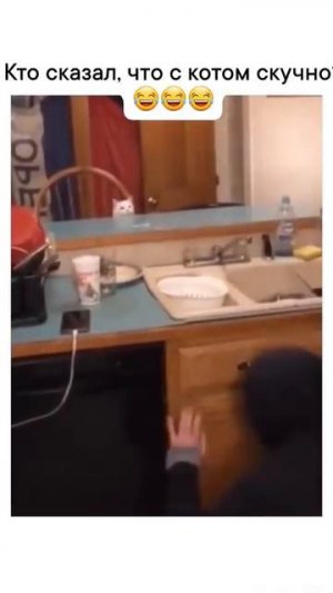 прятки #shorts