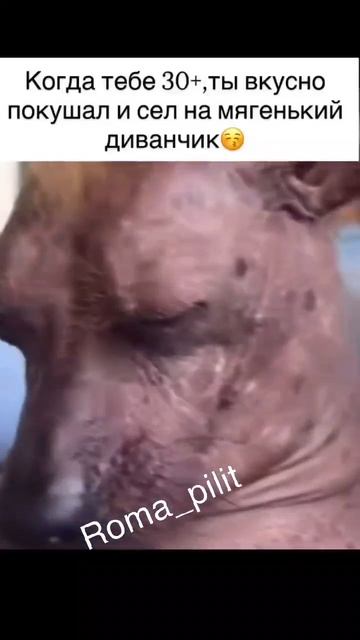 #жиза #когдаза30 #юмор #ржака смотреть онлайн