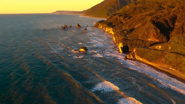 Мир живой природы смотреть онлайн