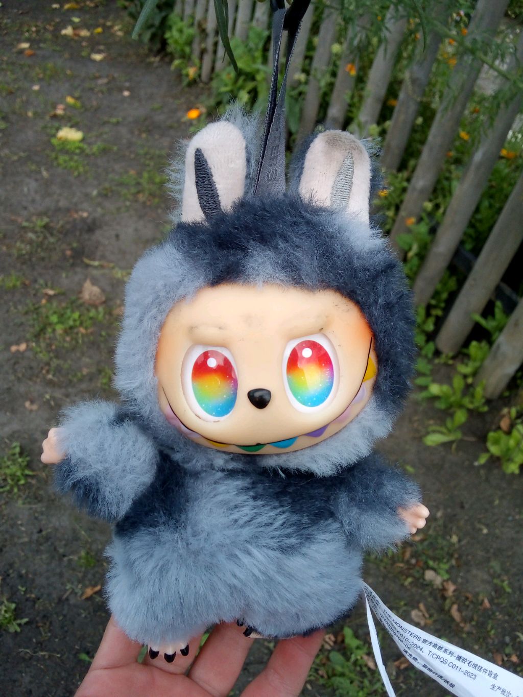 Кошка 24 Мяу