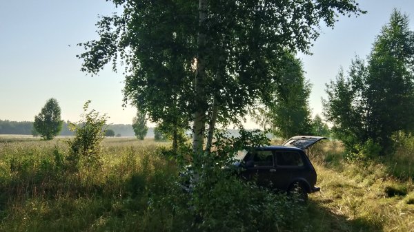 Дачные выходные. Веники, заготовки, шашлык