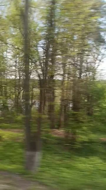Дорога. смотреть онлайн