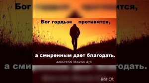 1000112924.mp4 ШЁЛ ПО ДОРОГЕ ЧЕЛОВЕК . / Притча /  Читает Новожилова З.Г.  Автор Галина Мерзлякова .