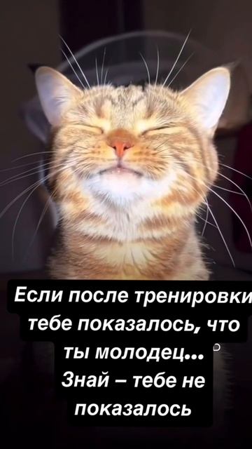 😍 За позитивчиком — на фитнес!🔥 Много полезного у нас в ТГ Https://t.me/fitprofi74