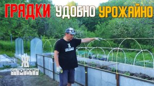 Теплая грядка: Высокая, удобная, без сорняков – жена в восторге! ЖКВ Саморучка