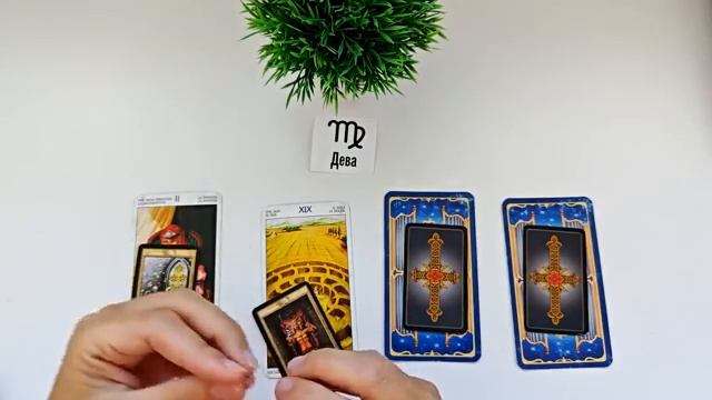 ДЕВА ОСЕНЬ 2025🌞 таро прогноз на сентябрь 2025/ октябрь 2025/ ноябрь 2025/ расклад “открытые двери” смотреть онлайн