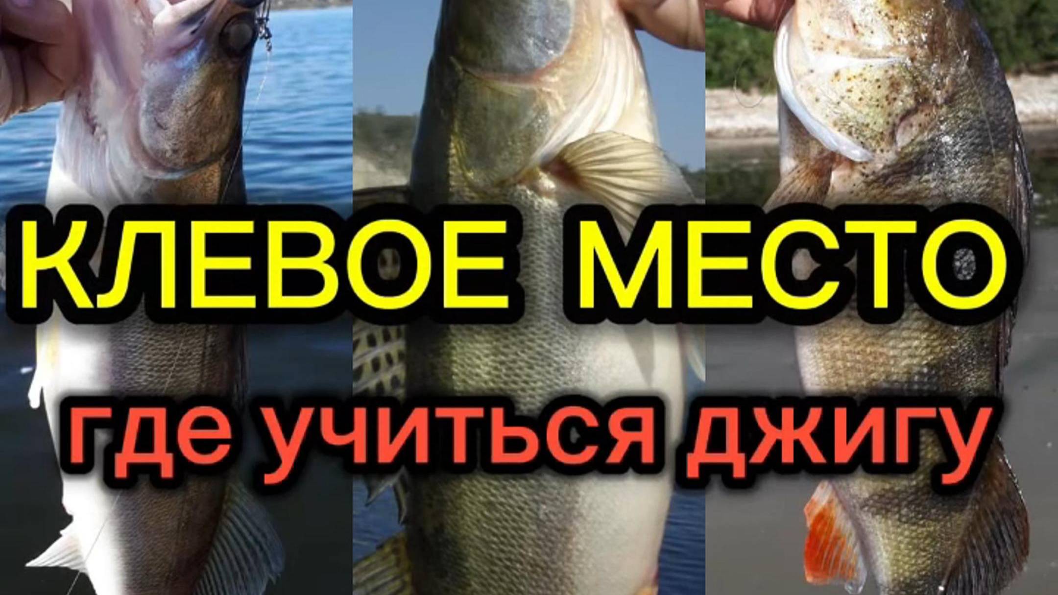 Место, где можно учиться ловить на ДЖИГ #vovabeer