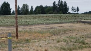 1000029068.mp4 Ну вотхорошие медосборы подходят к концу