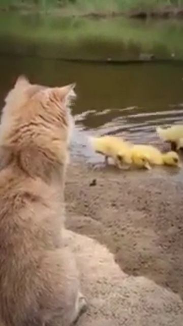 Водные процедуры смотреть онлайн