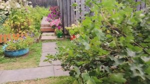 День рождения ,собираюсь в дорогу ,новая собачка у родни .