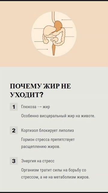 Почему недосып разрушает все усилия в похудении? Смотри в данном клипе