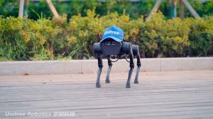 Unitree Robotics: Машина, которая изменит мир