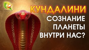 Йогическая философия: энергия Кундалини и Змеиная сила