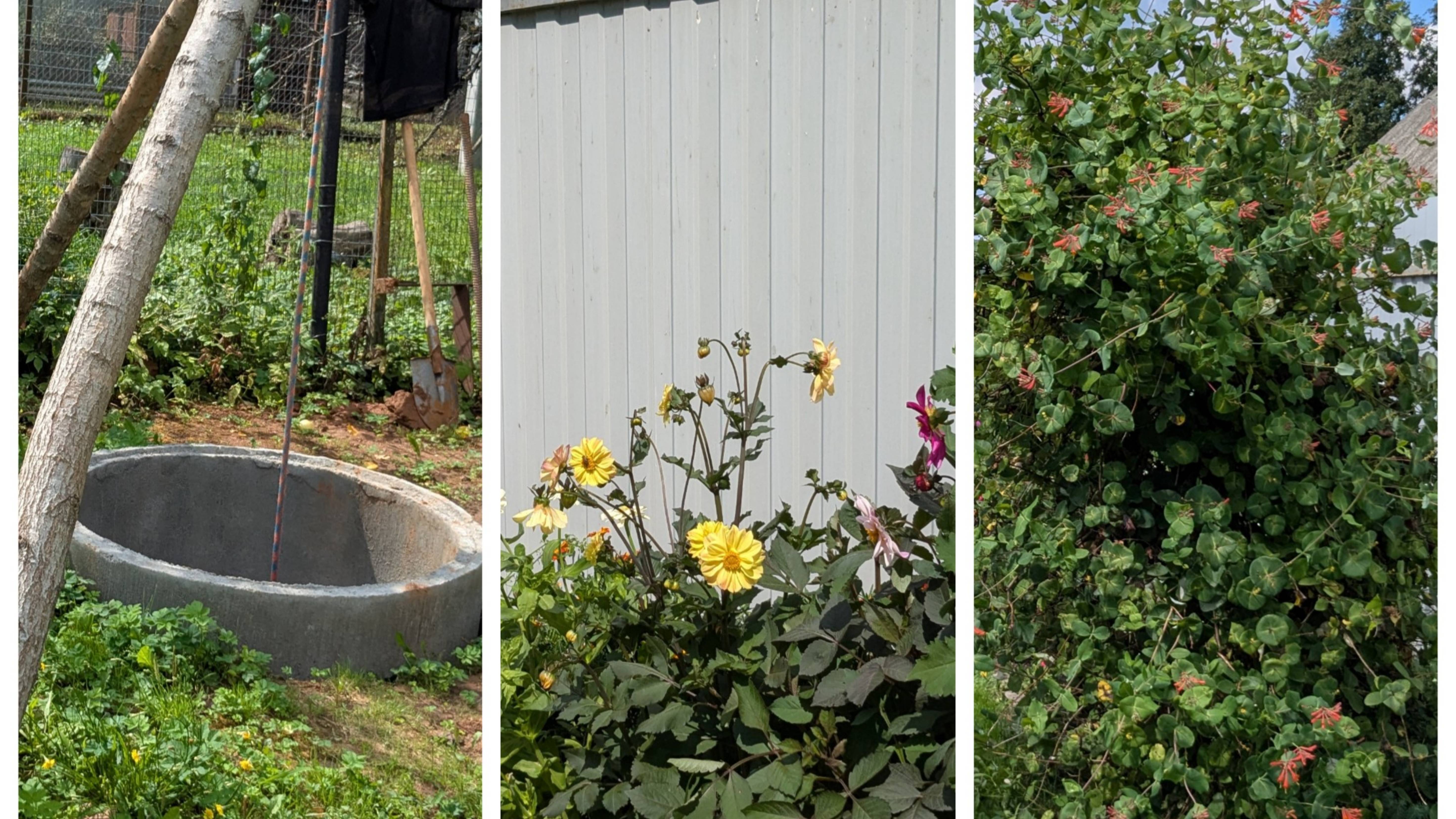 Готовлюсь к сидерации, заехали к Сережиной сестре. смотреть онлайн