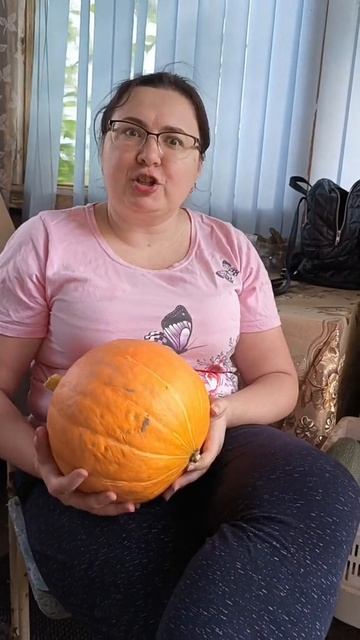 подпишись и улыбнись😁
#юмор #смех #дача #огород #мем #рек