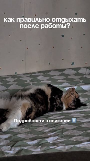 Отдыхай жи есть смотреть онлайн