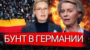 ШОК в Германии! Алис Вайдель требует выхода из ЕС – никто не ожидал.