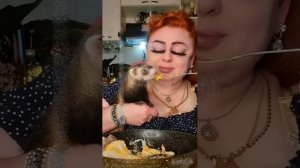 АППЕТИТНО КУШАЕМ С МОИМ ХАРЬКОМ