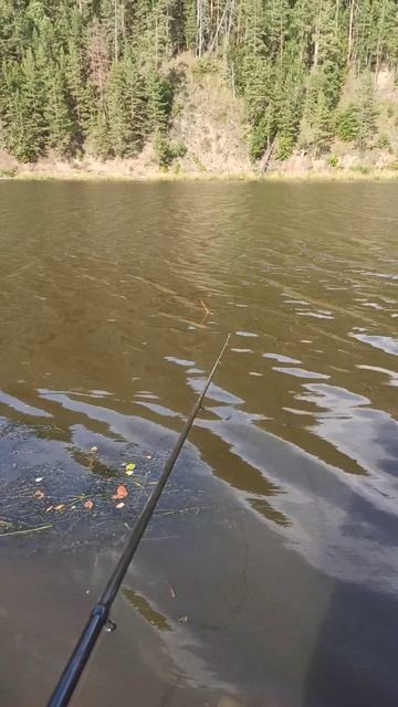 Два-рыбака.