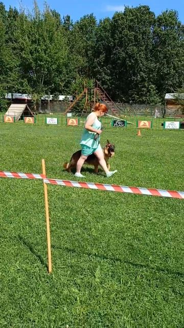 3 Отл. Ирендорф ЗАМБИЯ +++ №28. КЧК РЫБИНСК 19 июля`25 Моно немецких овчарок