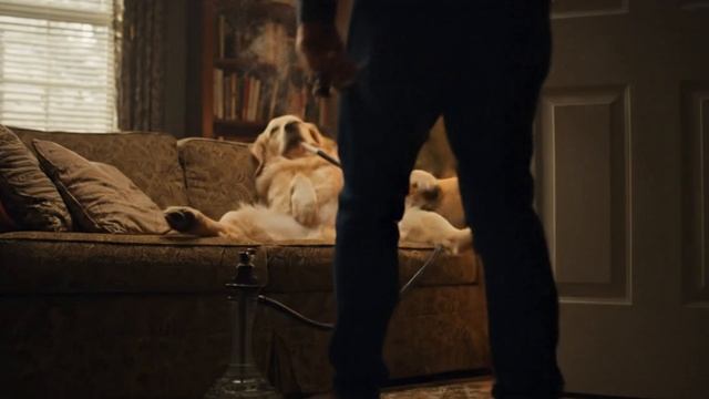 Мы в спешке не замечаем, но это происходит у каждого...