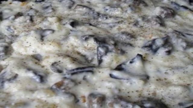 Сборник рецептов