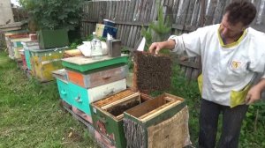 Породистая иностранка ЗАЛЕТЕЛА В ЛОВУШКУ