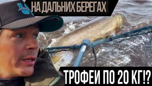 НА ДАЛЬНИХ БЕРЕГАХ. ЩУКИ ПО 20 кг НЕ ВЛАЗЯТ В ПОДСАК! ТРОФЕЙНАЯ РЫБАЛКА С НОЧЁВКОЙ. 2я часть.