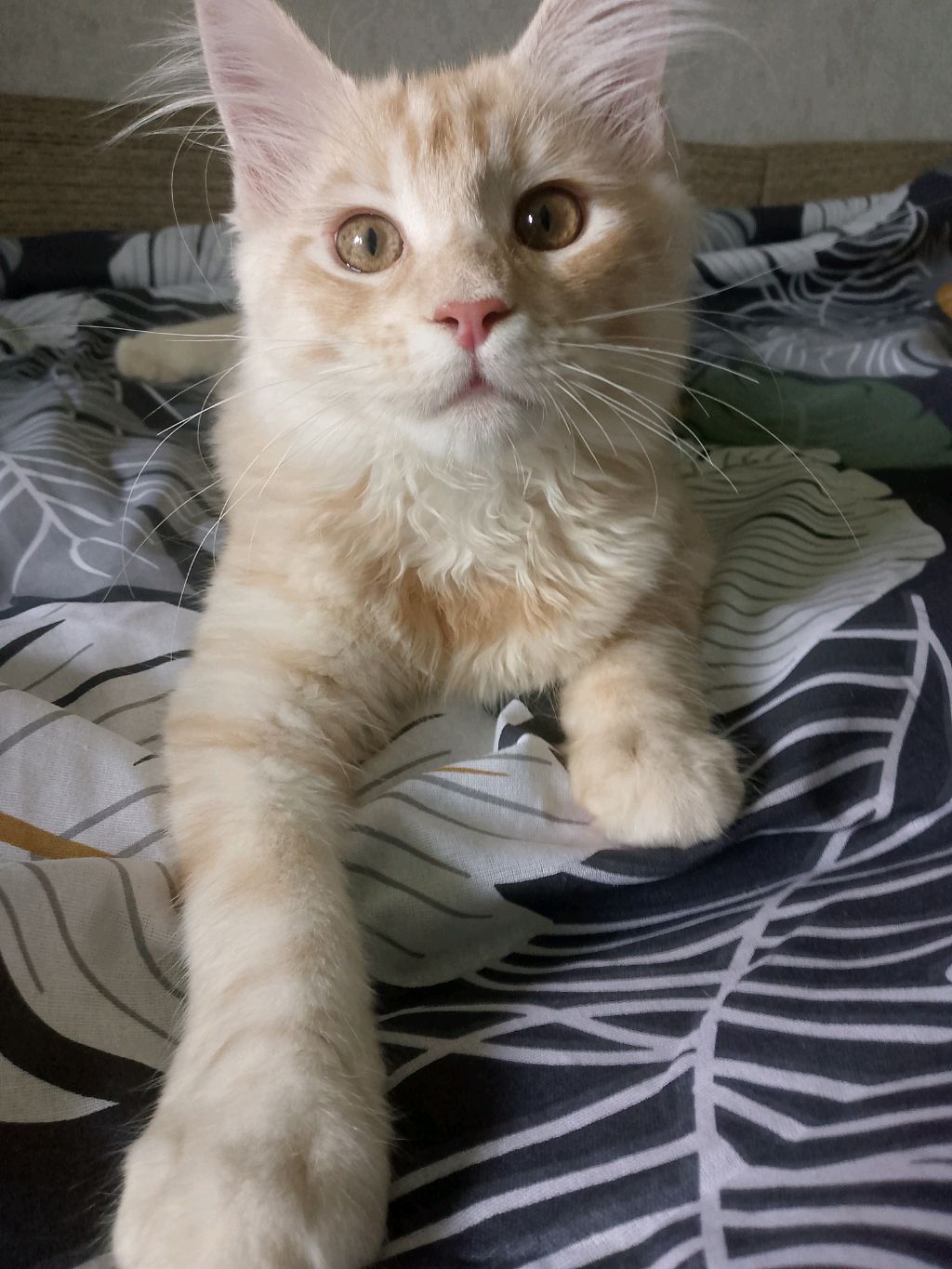 я ещё в больнице:( смотреть онлайн