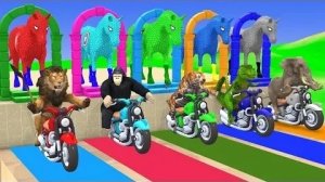 Мультики для малышей животные нв мотоцыклах