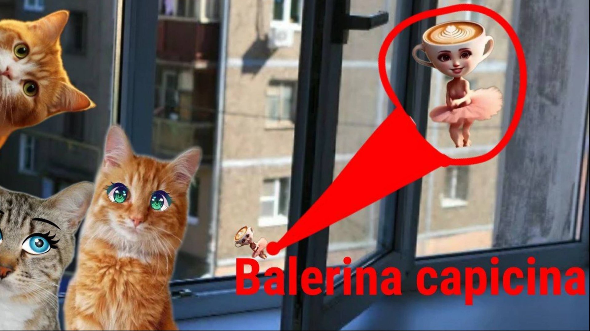 БАЛЕРИНА КАПУЧИНА КОШКА УПАЛА в реальной жизни!