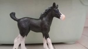 видео обращение!