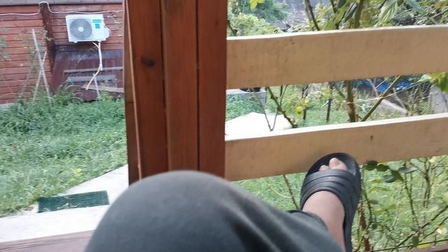 СОЧИ ГОРНОЕ ЛОО УТРО 07.08.2025 смотреть онлайн