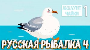 Rf4 начало и знакомство планы и цели на аккаунт чайки #рр4