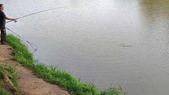 На кукурузу смотреть онлайн