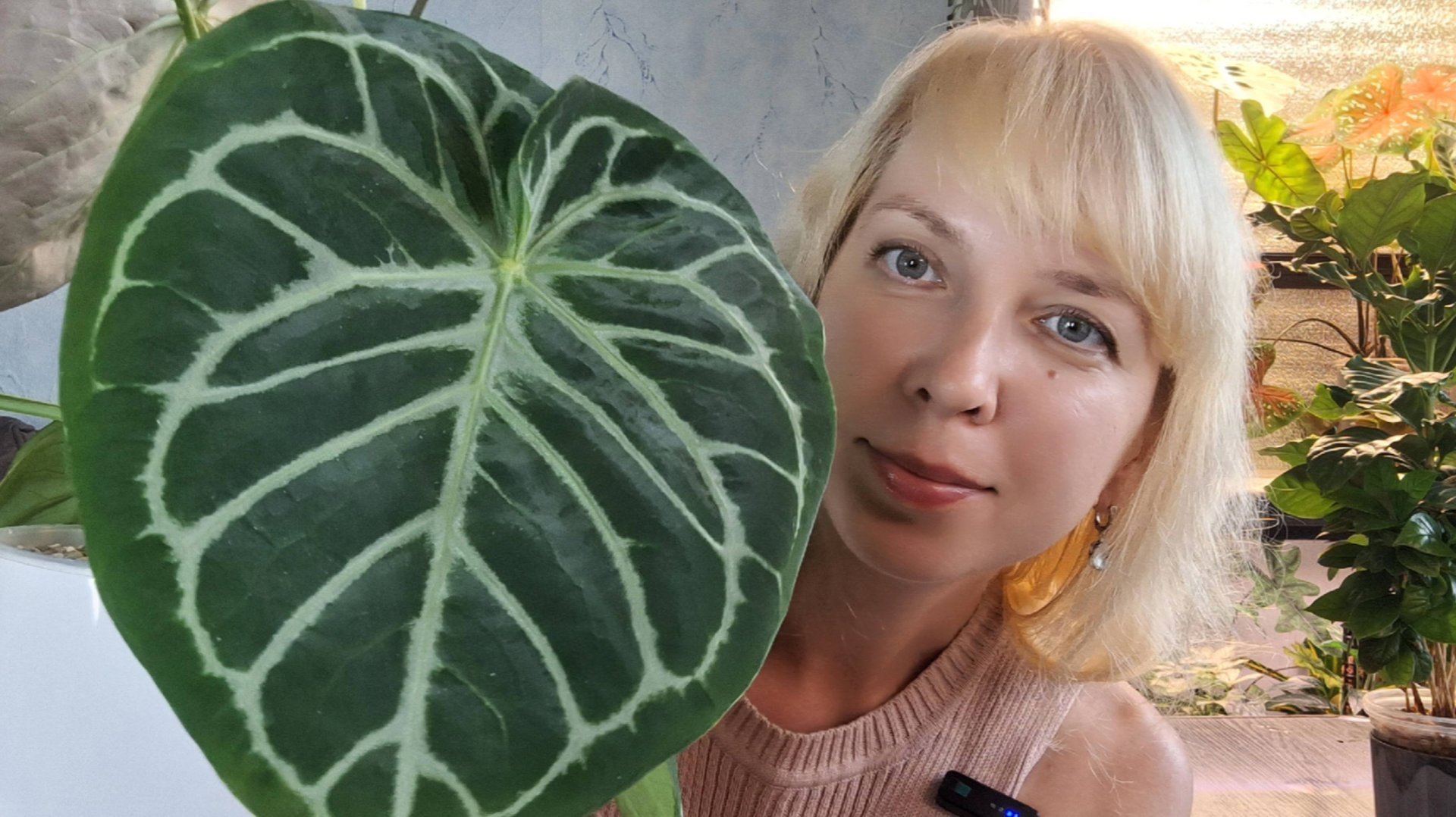 Небольшой обзор растений. Август смотреть онлайн