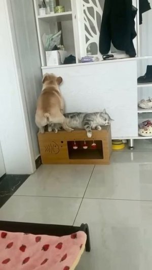 Когда одно место на двоих