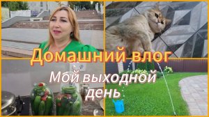 Кручусь верчусь/ Закрываю вкуснейшие огурцы/ Подружились с Милкой🐈 Ох уж это блогерство!😡
