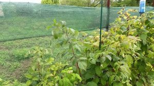 Прикрепила затеняющую сетку на забор из сетки рабицы