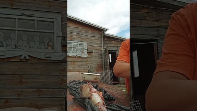 Деревенская жизнь 😊 смотреть онлайн