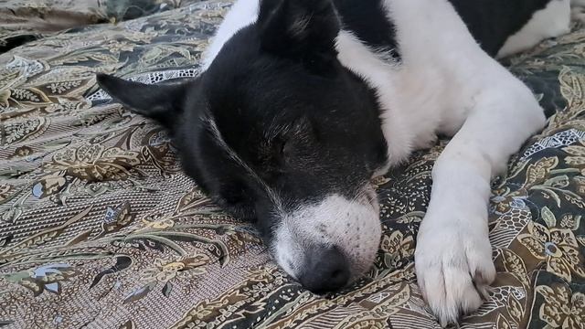 Найда смотреть онлайн